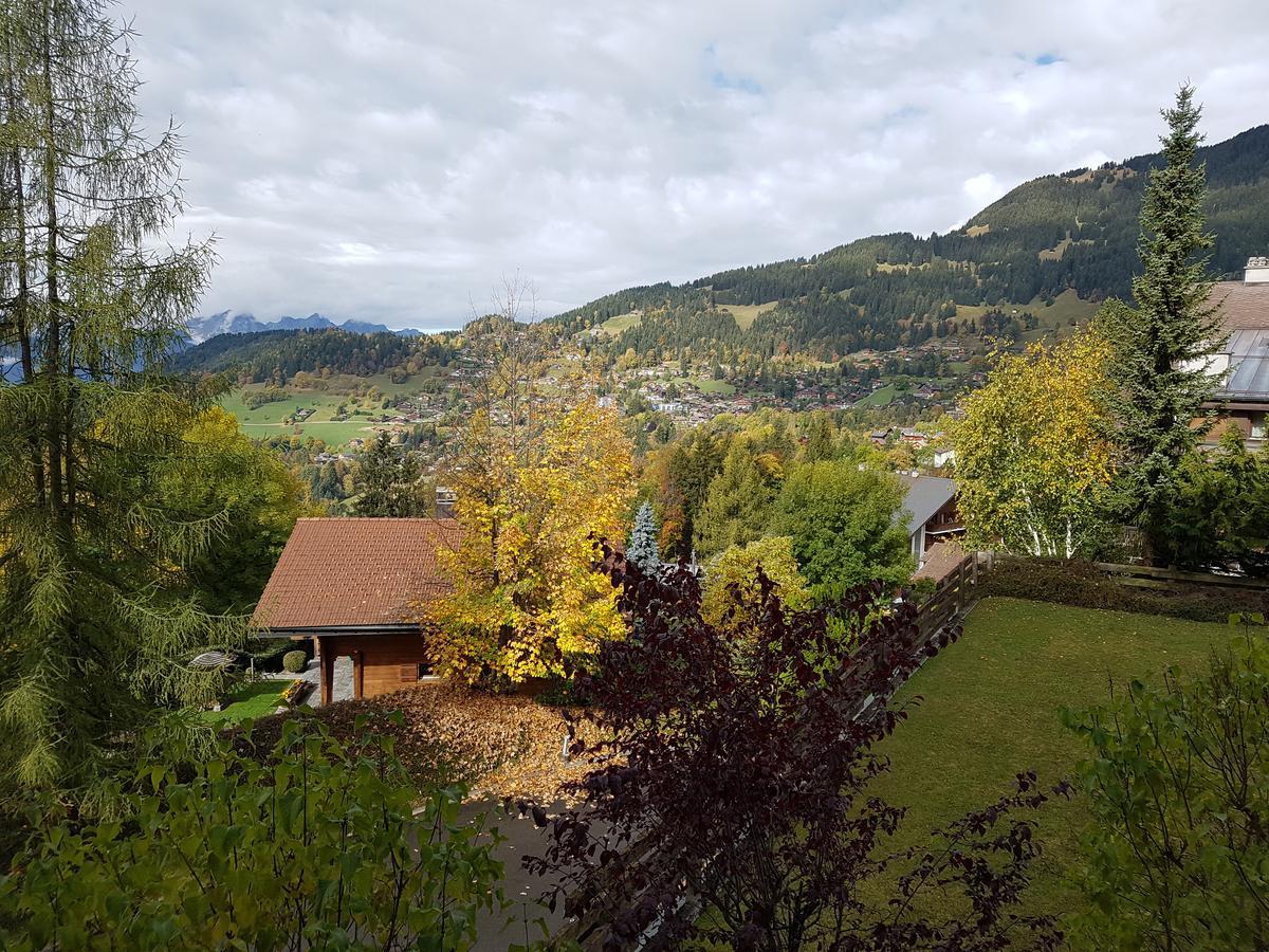 Appartement - Bristol Hotel Villars-sur-Ollon Εξωτερικό φωτογραφία